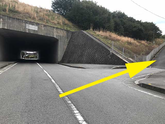 塞ノ神隧道手前を右折してください。